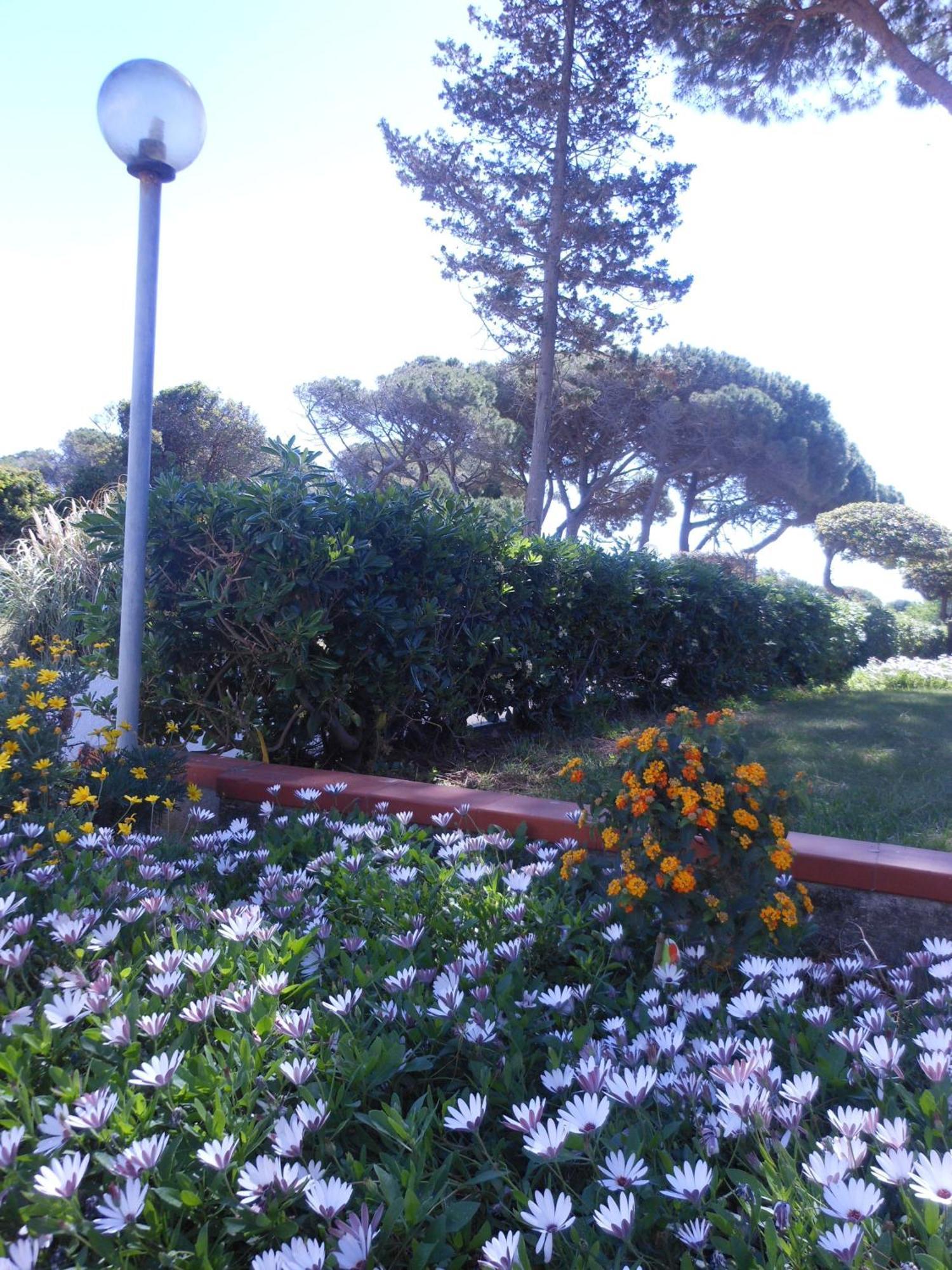 Aparthotel Il Lido Giannella Exterior foto